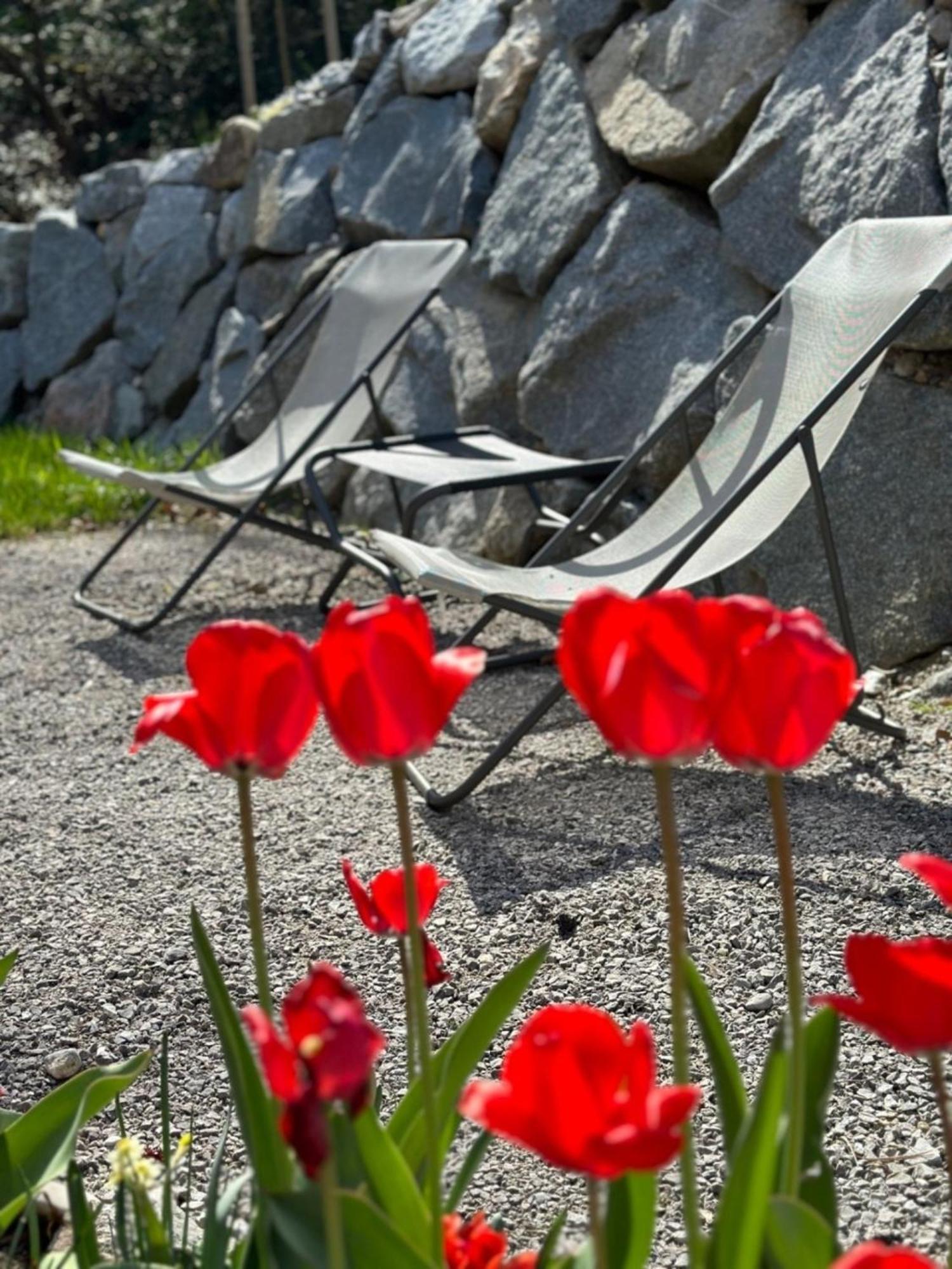 Chalet22 Beim Floesserhaus In Beuerberg Eurasburg Eksteriør bilde